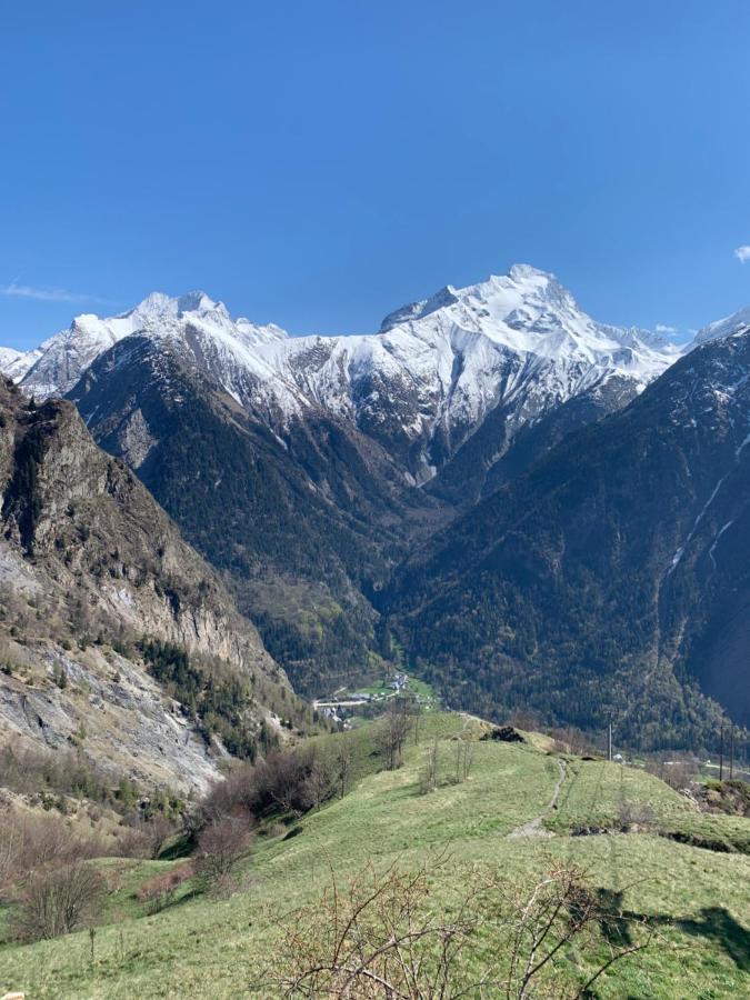 Oz Sur Son 31 L Oree Des Pistes Oz